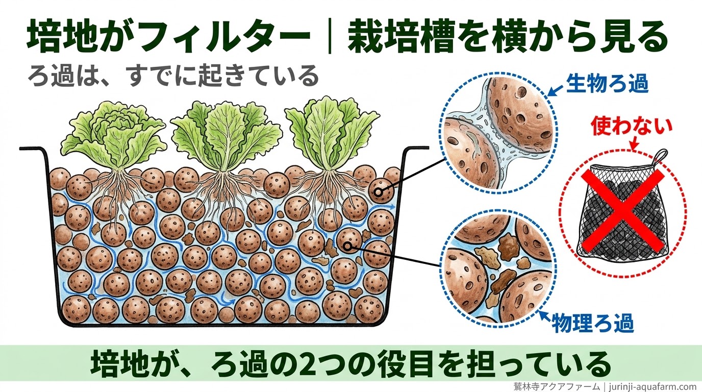 栽培ベッドのハイドロボールを横から見た精密図解。粒の表面で生物ろ過、粒のすき間で物理ろ過が起き、活性炭などのろ過材は使わない