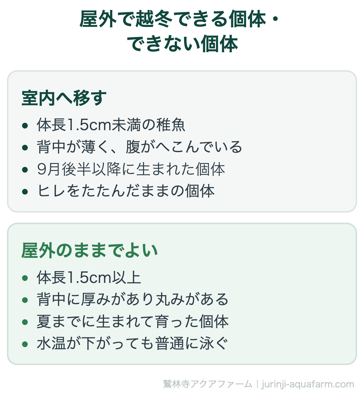 メダカの冬越し｜屋外で越冬できる個体・できない個体。体長1.5cm未満・痩せた個体・9月後半以降に生まれた個体は室内へ