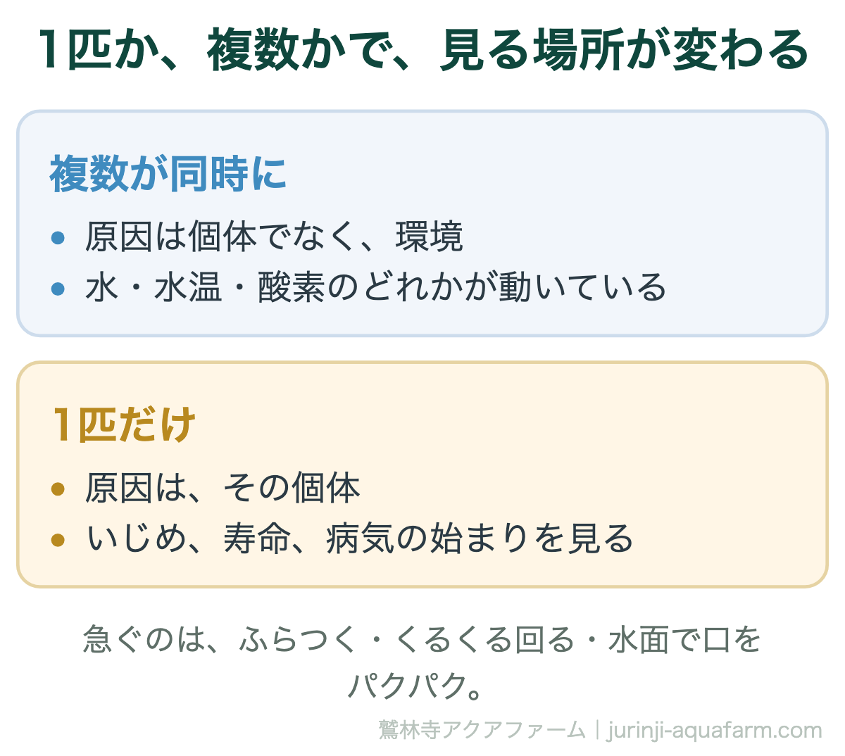 メダカが元気ないとき、複数同時なら環境（水・水温・酸素）、1匹だけなら個体（いじめ・寿命・病気の始まり）を見る