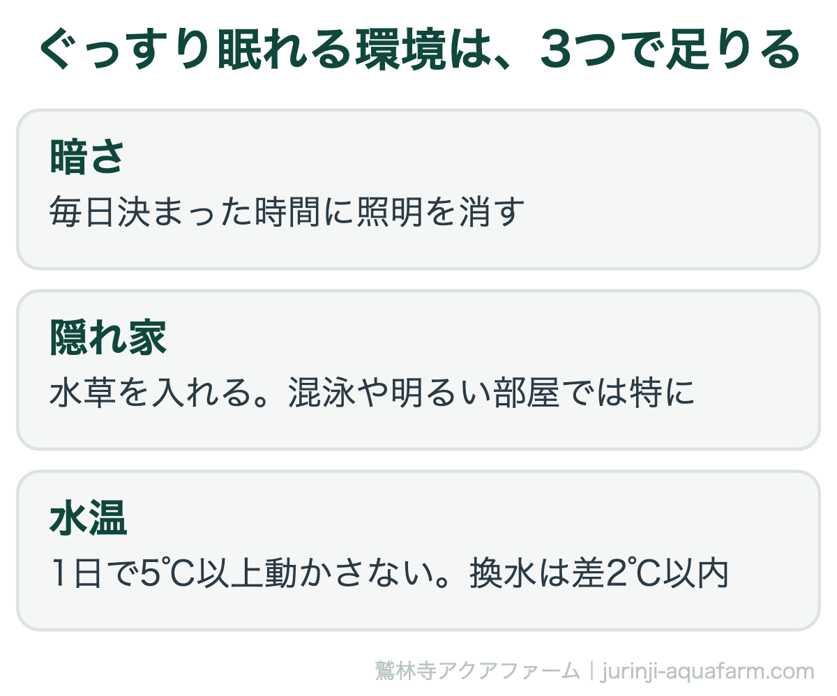 ぐっすり眠れる環境は3つ。暗さ、隠れ家、水温。毎日決まった時間に照明を消し、水草で隠れ家を作り、水温を急に動かさない