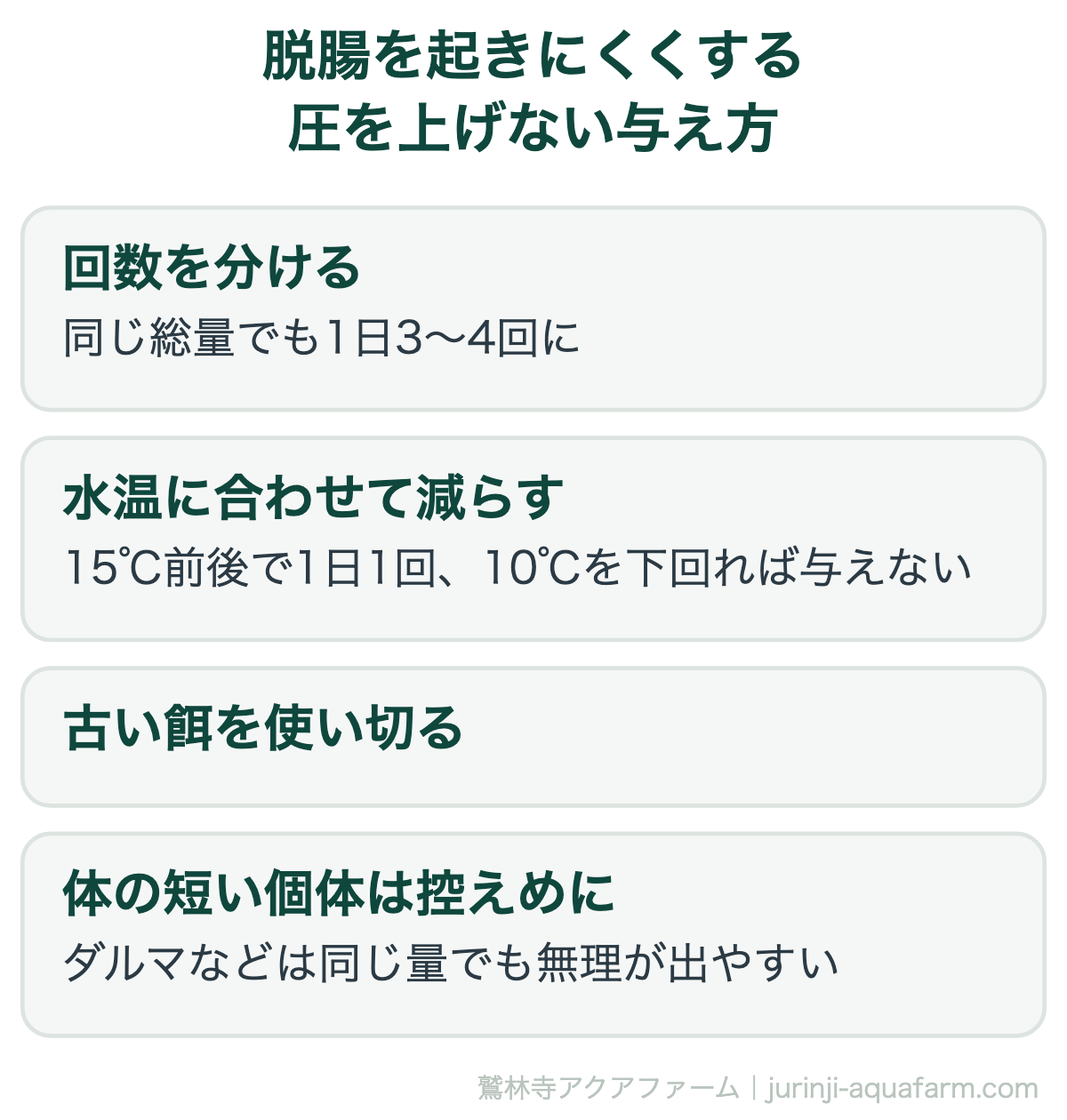 メダカの脱腸を起きにくくする与え方。同じ総量でも1日3〜4回に分ける、水温に合わせて15℃前後で1日1回・10℃を下回れば与えない、古い餌を使い切る、ダルマなど体の短い個体は控えめに
