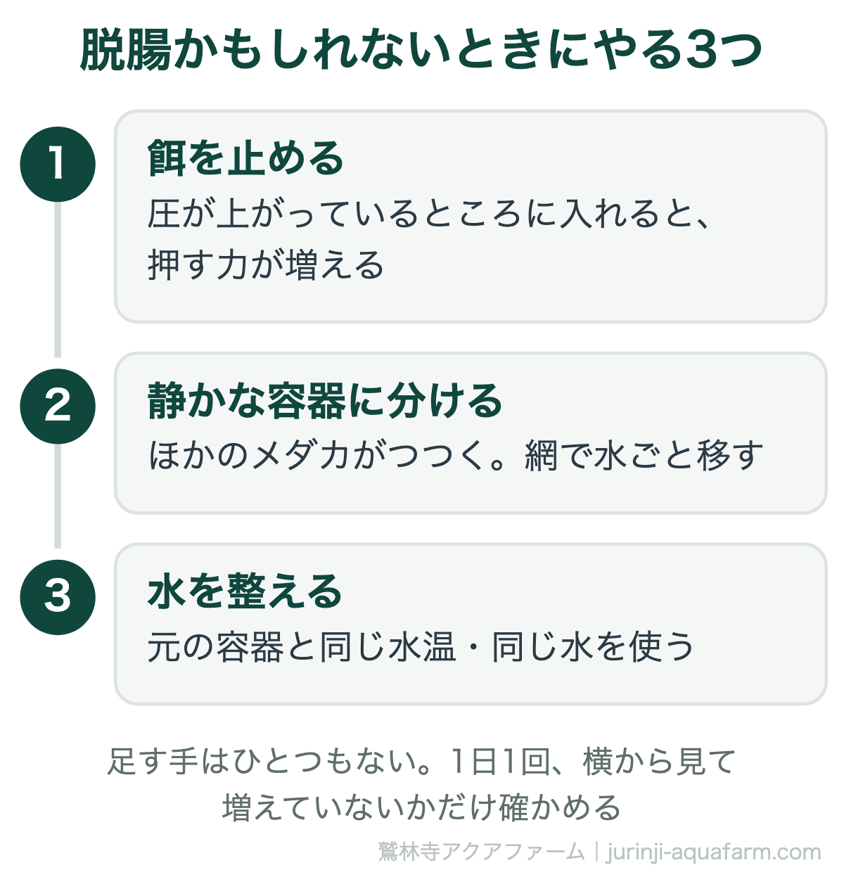 メダカが脱腸かもしれないときにやる3つ。餌を止める、ほかのメダカにつつかれないよう静かな容器に網で水ごと分ける、元の容器と同じ水温・同じ水で整える。足す手はひとつもなく1日1回横から見る