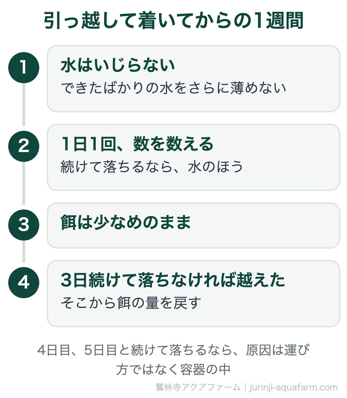 メダカを引っ越しで運んだあとの1週間の過ごし方。水はいじらない、1日1回数を数える、餌は少なめのまま、3日続けて落ちなければ越えたと考えて餌を戻す。4日目5日目と続けて落ちるなら原因は容器の中
