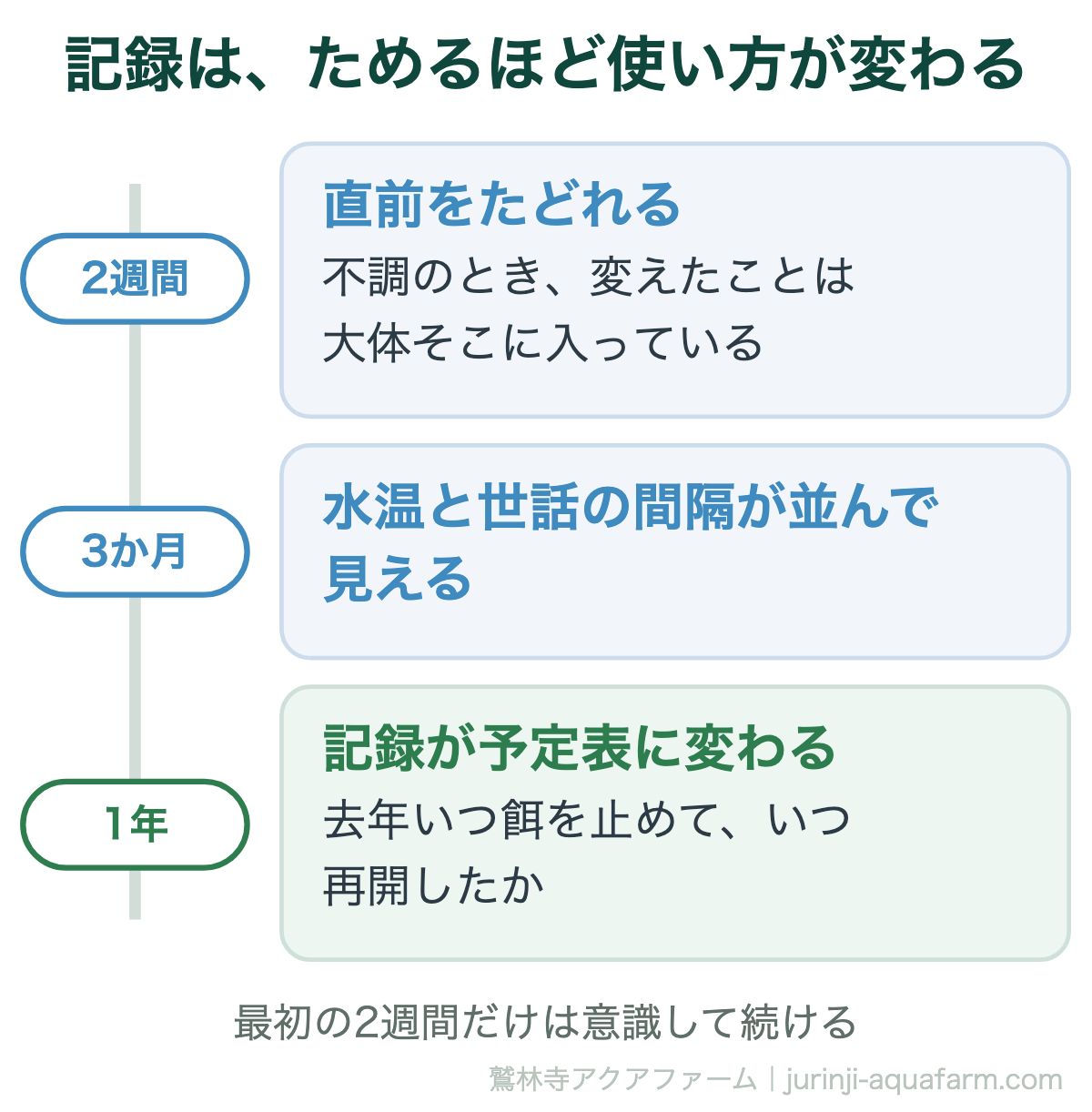 メダカの飼育記録は何日ぶんためると役に立つか。2週間で不調のときに直前をたどれ、3か月で水温と世話の間隔が並んで見え、1年で去年いつ餌を止めて再開したかが分かる予定表に変わる