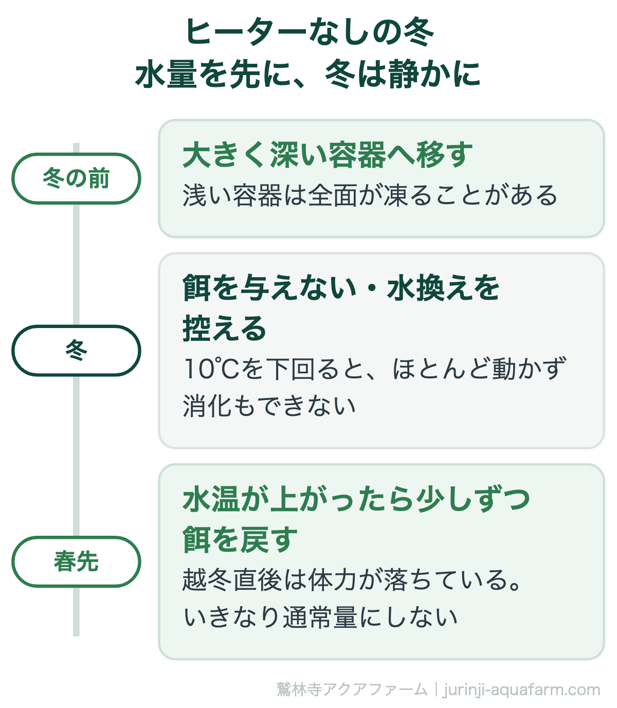 メダカと混泳相手をヒーターなしで越冬させる流れ。冬の前に大きく深い容器へ移す、冬は水温が10℃を下回るので餌を与えず水換えも控える、春先は水温が上がってから少しずつ餌を戻し、いきなり通常量にしない