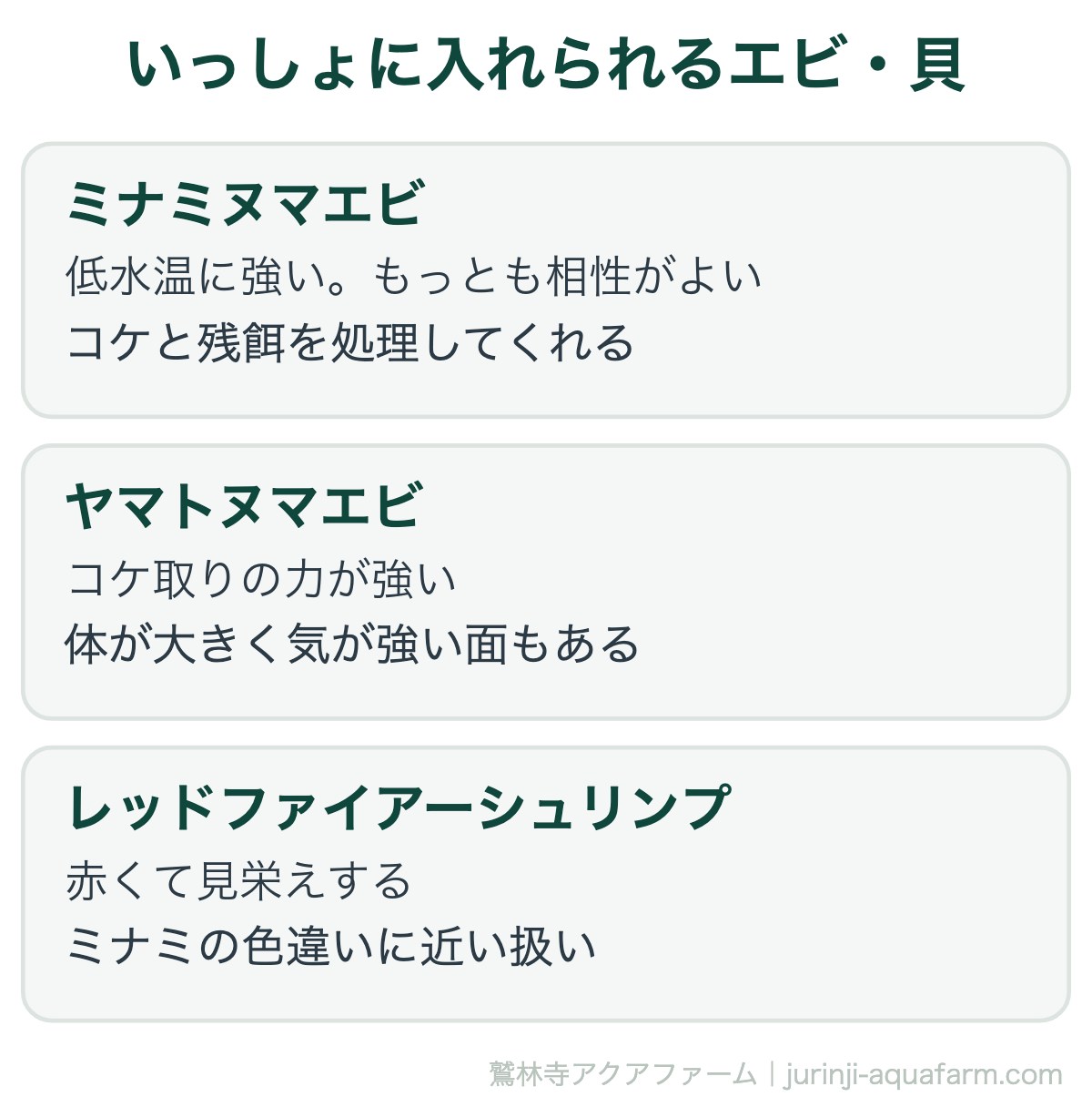 メダカと混泳できる魚・エビ7種｜いっしょに入れられるエビ・貝。掃除役としてはエビが優秀です。ただしメダカの卵や針子は食べられることがあるため、繁殖させたい容器では分けます