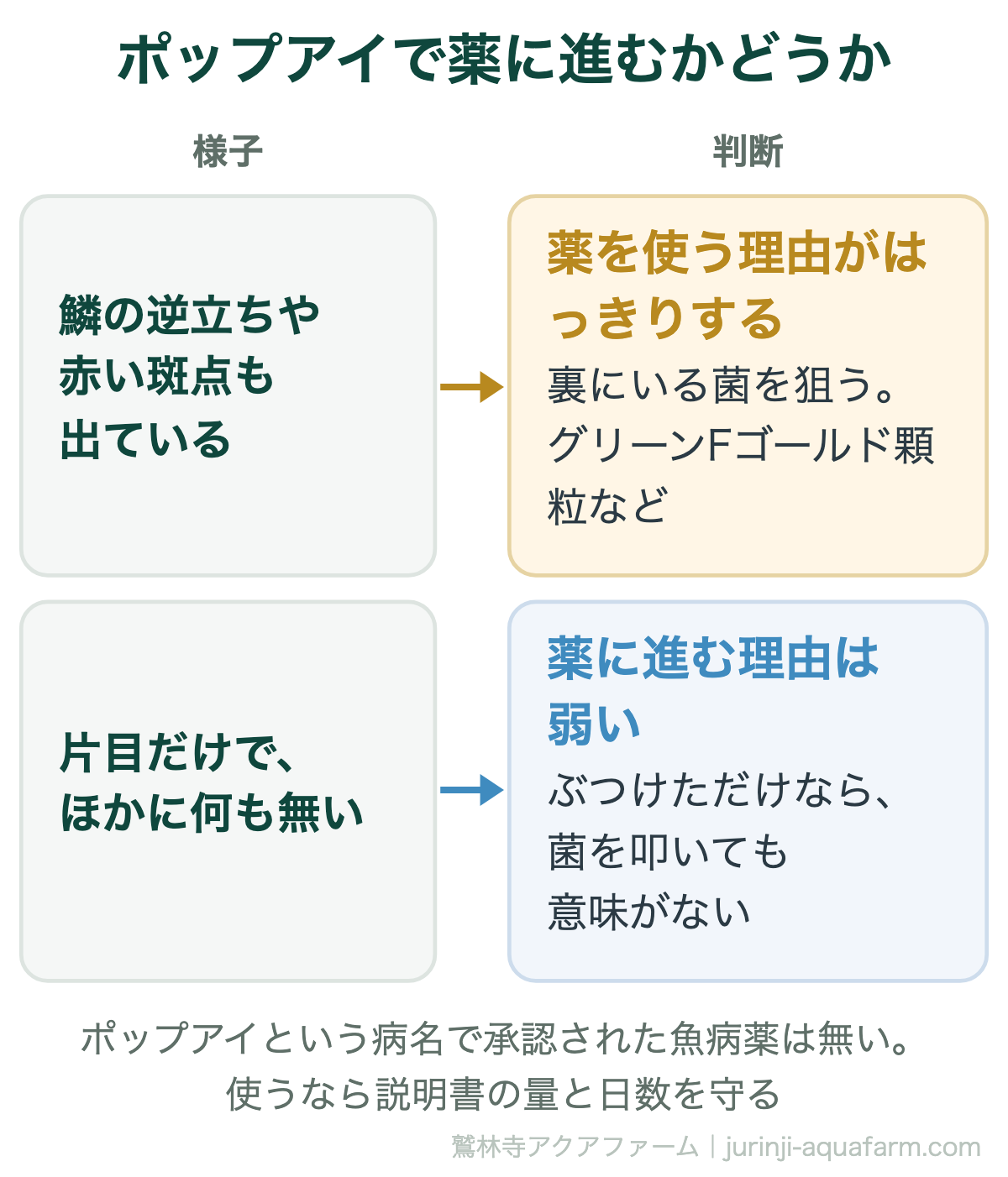 メダカのポップアイで薬に進むかどうか。鱗の逆立ちや赤い斑点も出ているなら裏にいる菌を狙ってグリーンFゴールド顆粒などを使う理由がはっきりする。片目だけでほかに何も無いなら薬に進む理由は弱い。ポップアイの病名で承認された薬は無い