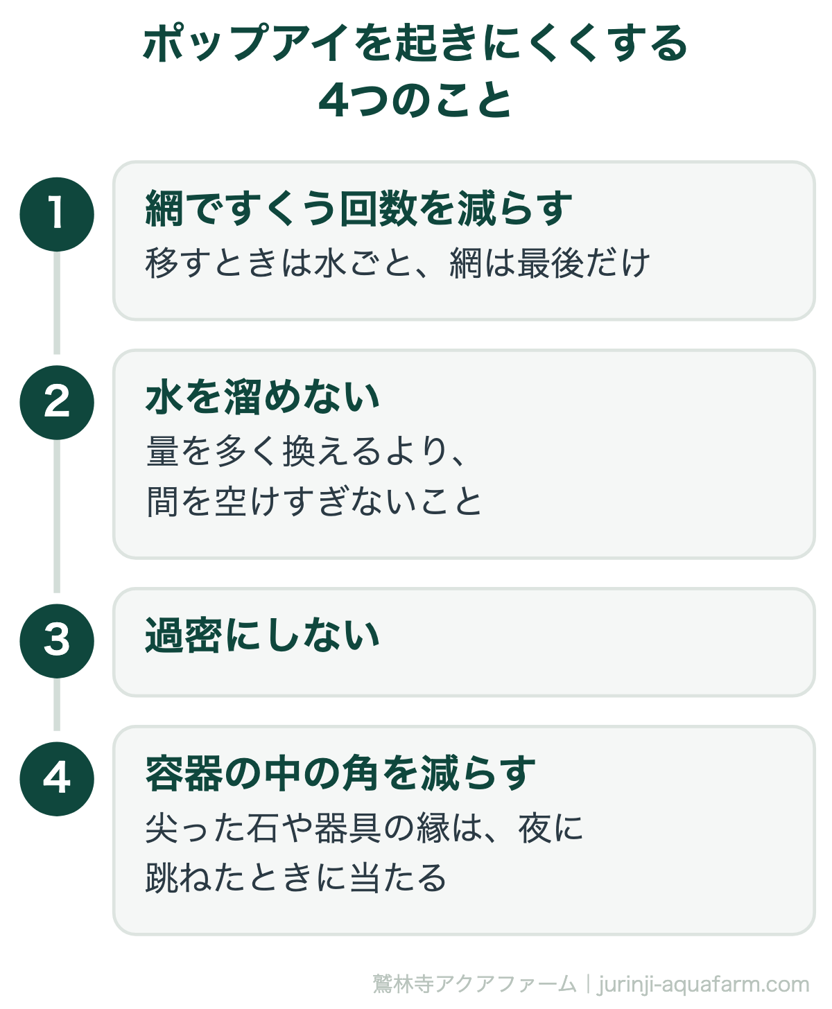 メダカのポップアイを起きにくくする4つのこと。網ですくう回数を減らし移すときは水ごと、水を溜めない、過密にしない、尖った石や器具の縁など容器の中の角を減らす