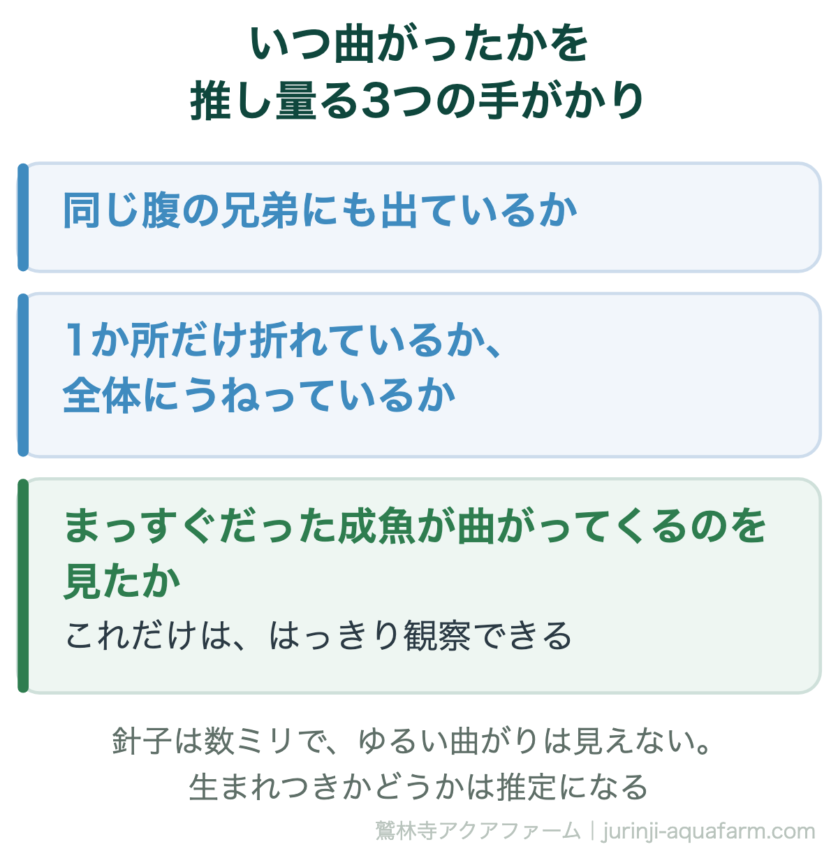 メダカの背曲がりがいつ曲がったかを推し量る3つの手がかり。同じ腹の兄弟にも出ているか、1か所だけ折れているか全体にうねっているか、まっすぐだった成魚が曲がってくるのを見たか。針子のうちはゆるい曲がりは見えない