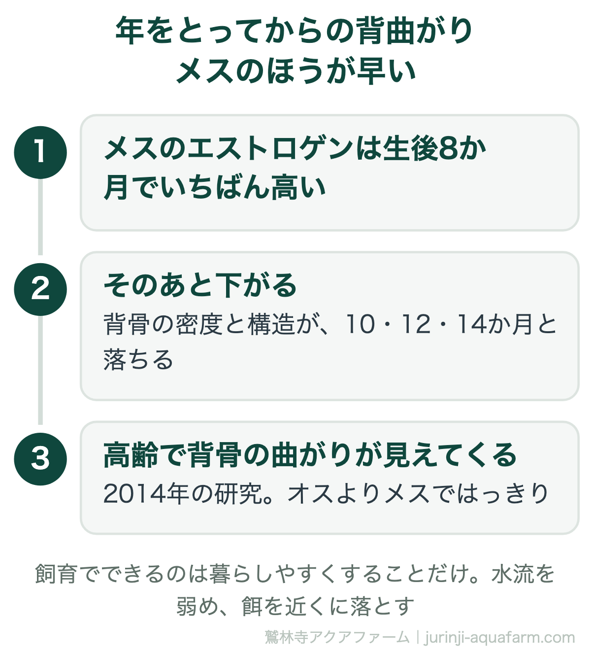 メダカの年をとってからの背曲がりはメスのほうが早い。メスのエストロゲンは生後8か月でいちばん高くそのあと下がり、背骨の密度と構造が10・12・14か月と落ちて高齢で曲がりが見えてくる（2014年の研究）。できるのは水流を弱め餌を近くに落とすこと