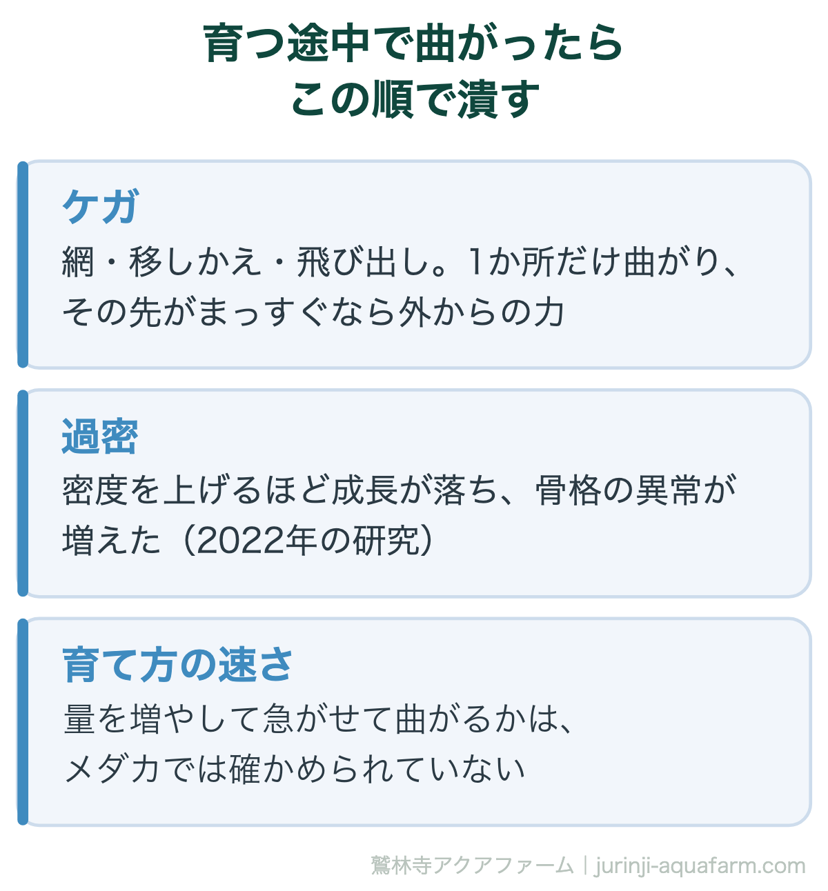 メダカの背曲がりが育つ途中で出たときに潰す順番。1か所だけ曲がりその先がまっすぐならケガ、次に過密（密度を上げるほど成長が落ち骨格の異常が増えた2022年の研究）、そして餌を増やして急に大きくする育て方の速さ（曲がりにつながるかはメダカでは未確認）