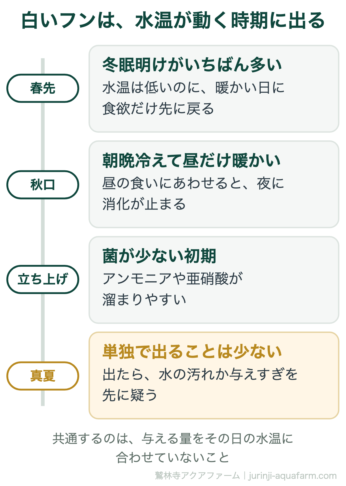 メダカの白いフンが出やすい時期。いちばん多いのは春先の冬眠明け、次が朝晩冷えて昼だけ暖かい秋口、水を処理する菌が少ない立ち上げの初期。真夏に単独で出ることは少なく、出たら水の汚れか与えすぎを疑う