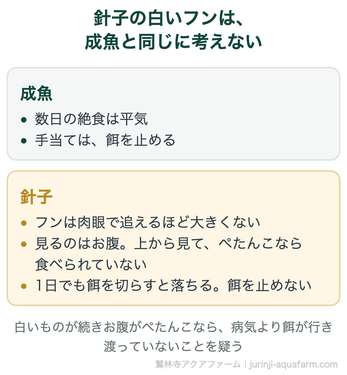 メダカの針子や稚魚のフンが白いときは成魚と同じに考えない。成魚は数日の絶食が平気で餌を止めて手当てするが、針子はフンより上から見たお腹を見る。ぺたんこなら食べられていない。針子は絶食に弱く、1日でも餌を切らすと弱りやすい