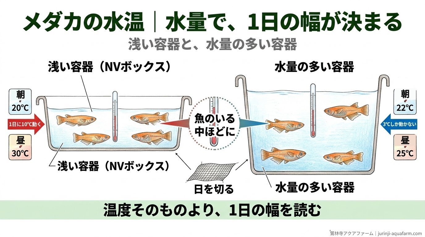メダカの水温で、浅い容器と水量の多い容器の1日の水温の幅を比べた精密図解
