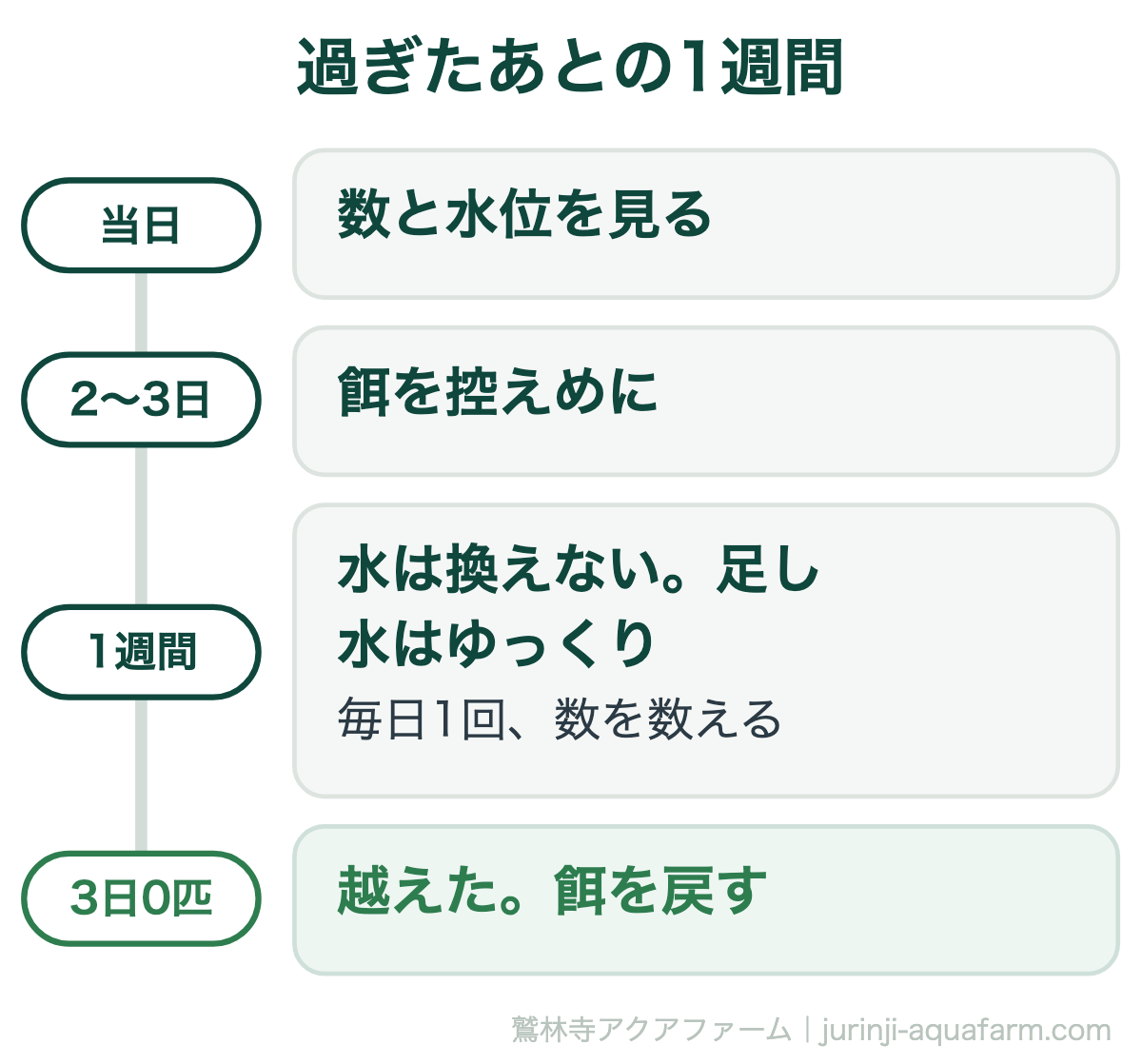 メダカの台風が過ぎたあとの1週間。当日は数と水位を見て、2〜3日は餌を控えめにし、1週間は水を換えず足し水はゆっくり、毎日1回数を数える。3日続けて1匹も落ちなければ越えたので餌を戻す