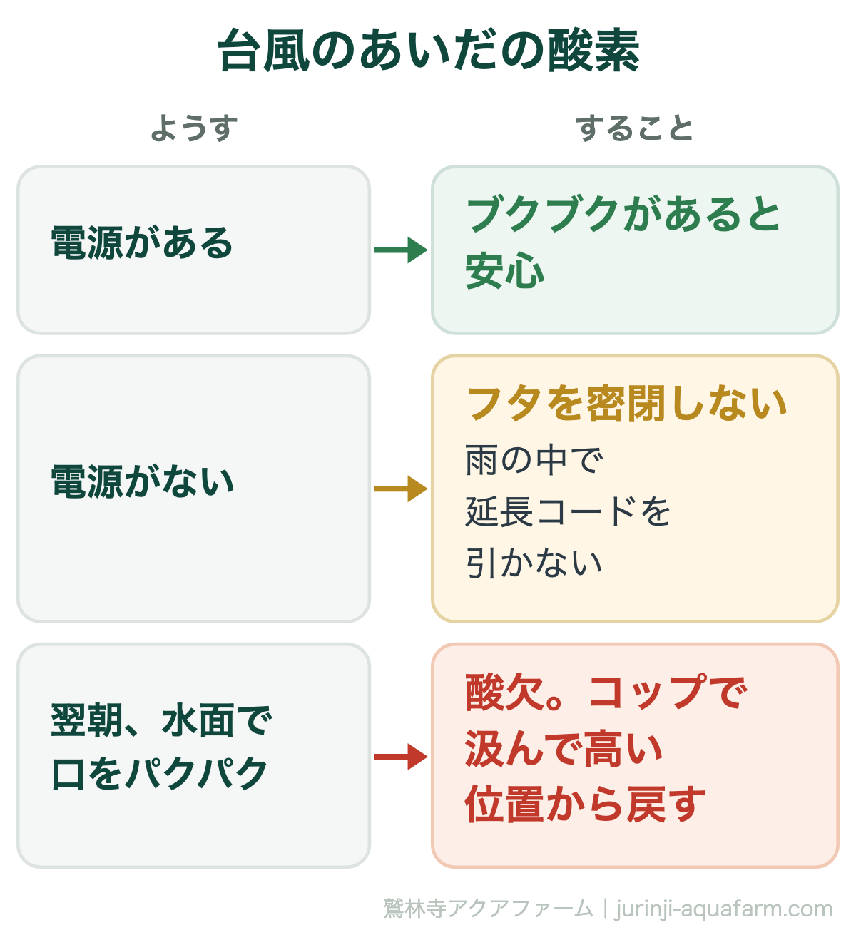 メダカの台風のあいだの酸素。電源があるならブクブクがあると安心、電源がないならフタを密閉せず雨の中で延長コードを引かない。翌朝水面で口をパクパクしていたら酸欠なので、コップで汲んで高い位置から戻す