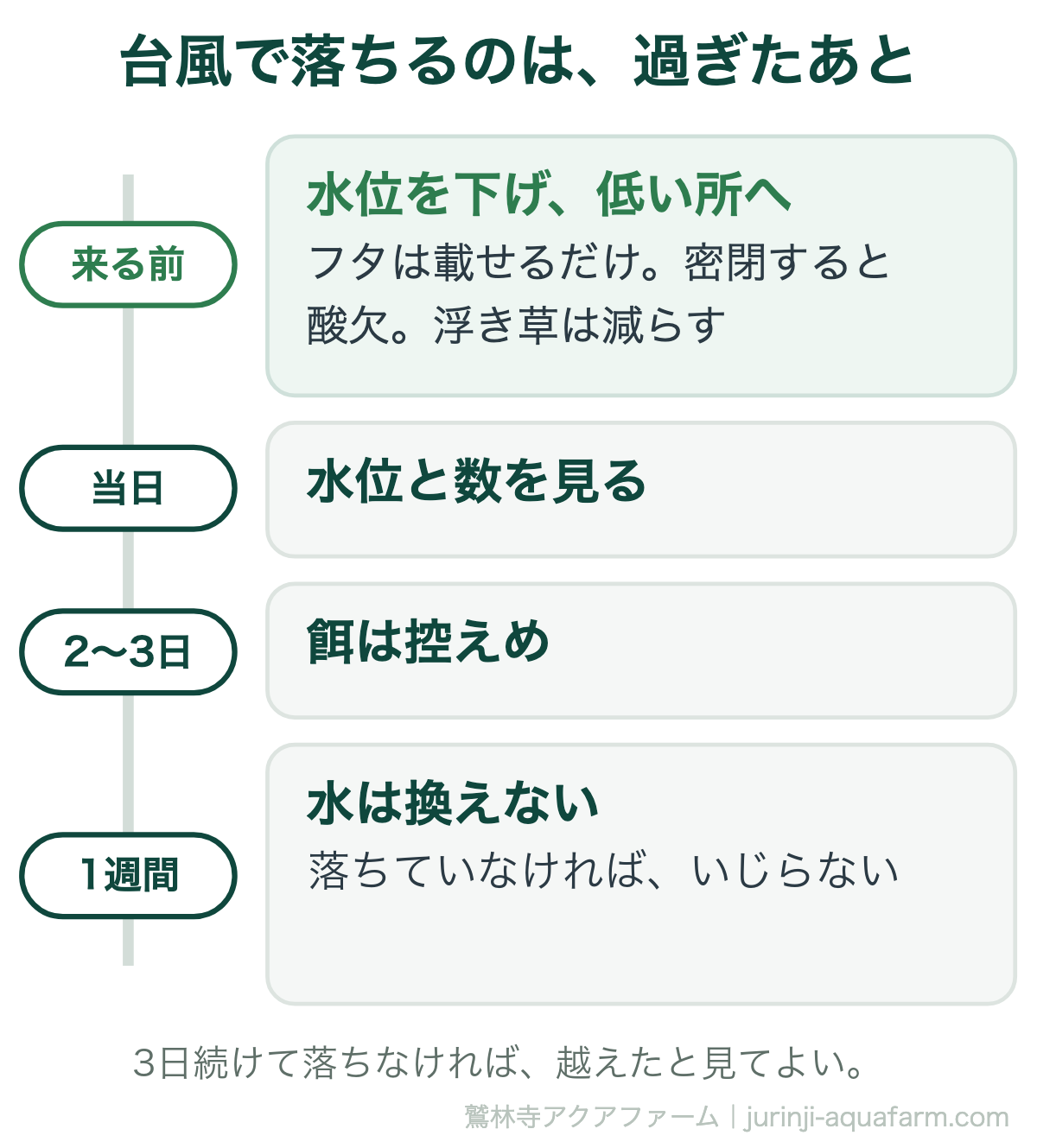メダカの台風対策の時系列。来る前は水位を下げ容器を低い所へ移し、フタは載せるだけで密閉しない、浮き草は減らす。当日は水位と数を見る。2〜3日は餌を控えめにする。落ちていなければ1週間は水を換えない。3日続けて落ちなければ越えたと見てよい