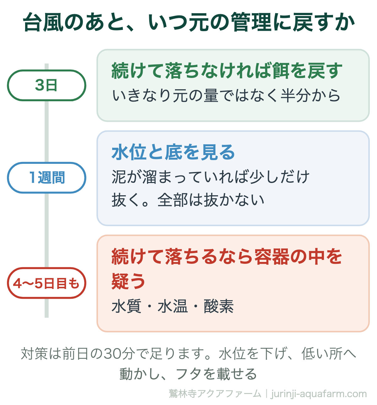 メダカの台風のあといつ元の管理に戻すか。3日続けて落ちなければ餌を半分から戻し、1週間たったら水位と底を見て泥を少しだけ抜く。4日目5日目と続けて落ちるなら台風ではなく容器の中の水質・水温・酸素を疑う