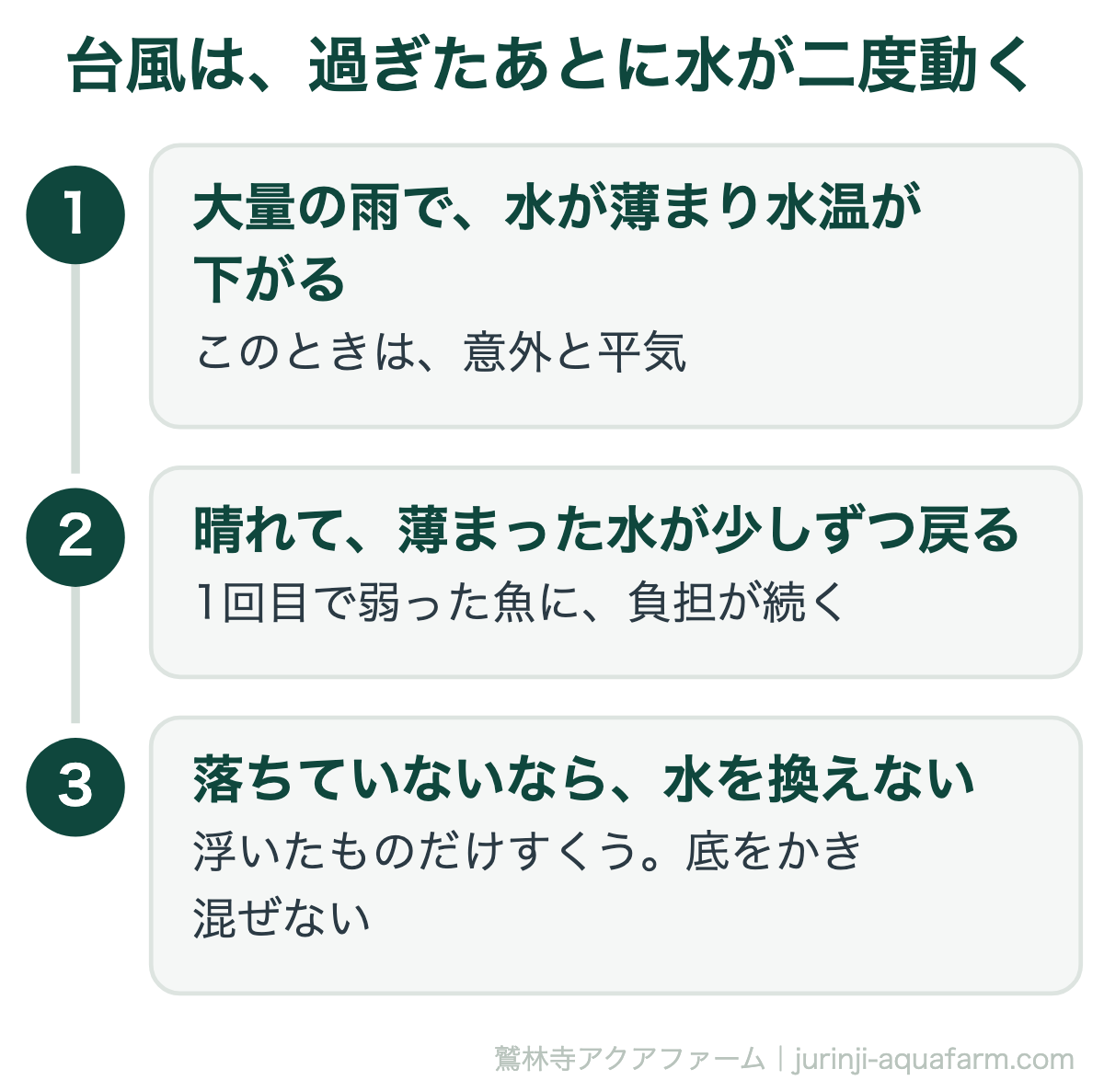 メダカの台風は過ぎたあとに水が二度動く。大量の雨で水が薄まり水温が下がるがそのときは意外と平気で、晴れて薄まった水が少しずつ戻るあいだに弱った魚に負担が続く。落ちていないなら水を換えず、浮いたものだけすくう