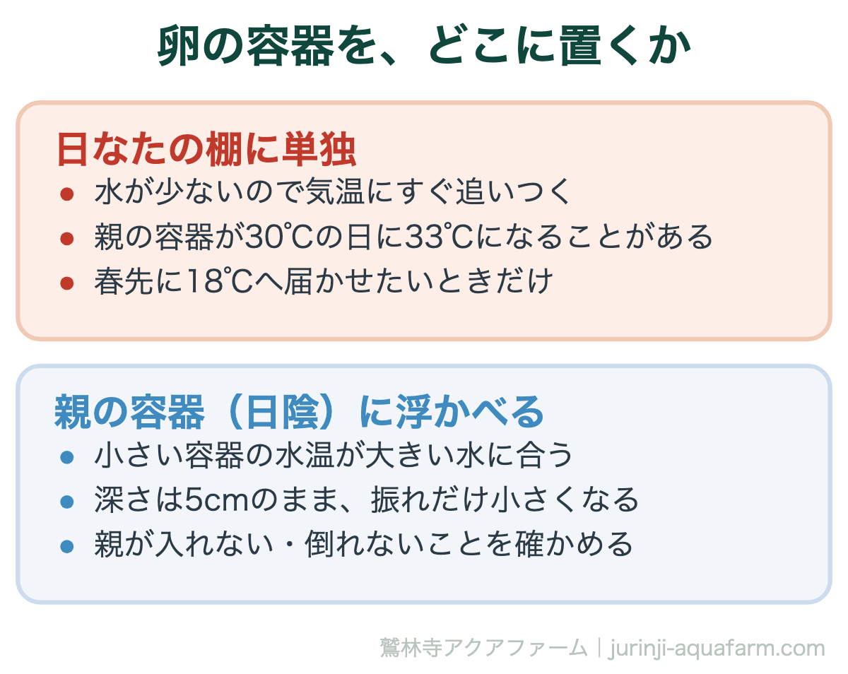 メダカの卵の容器の置き場所の比較。日なたに単独で置くと水温が気温にすぐ追いつき親の容器より高くなる。親の容器に浮かべると大きい水の温度に合い振れが小さい。