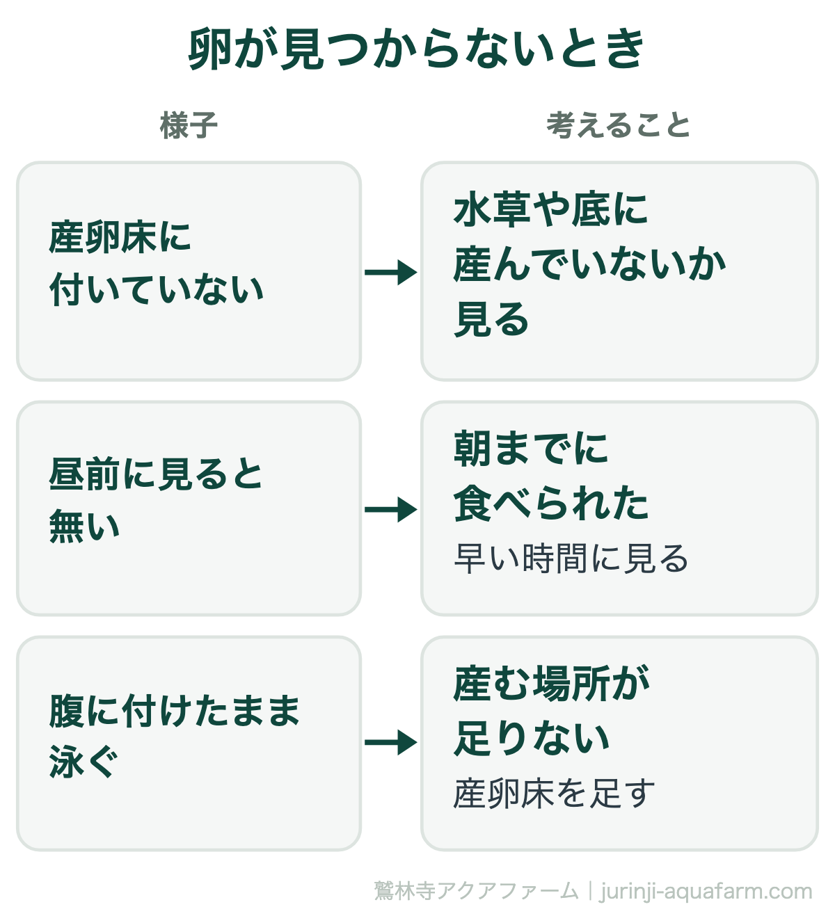 メダカの卵が見つからないとき。産卵床に付いていないなら水草や底を見る、昼前に無いなら朝までに食べられた、腹に付けたまま泳ぐなら産卵床を足す