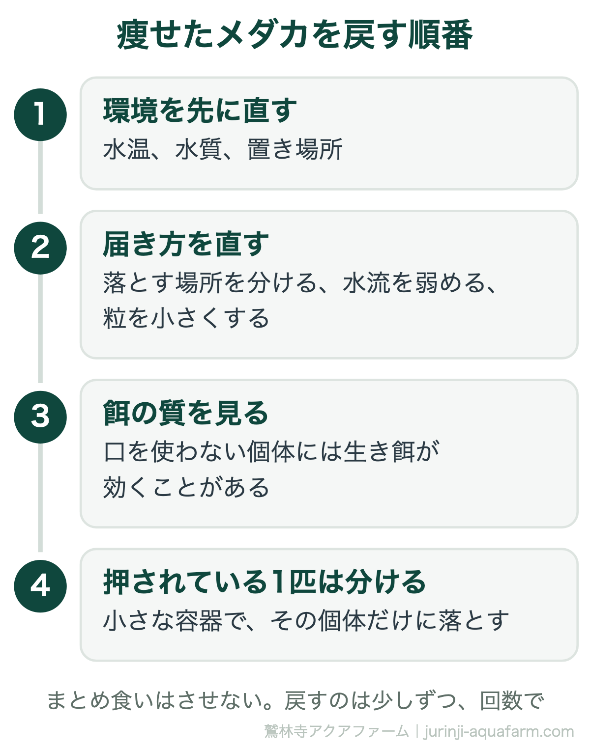 痩せたメダカを戻す順番。まず水温・水質・置き場所の環境を直し、次に落とす場所を分け水流を弱め粒を小さくして届き方を直し、餌の質を見て、押されている1匹は小さな容器に分ける。まとめ食いはさせず少しずつ回数で