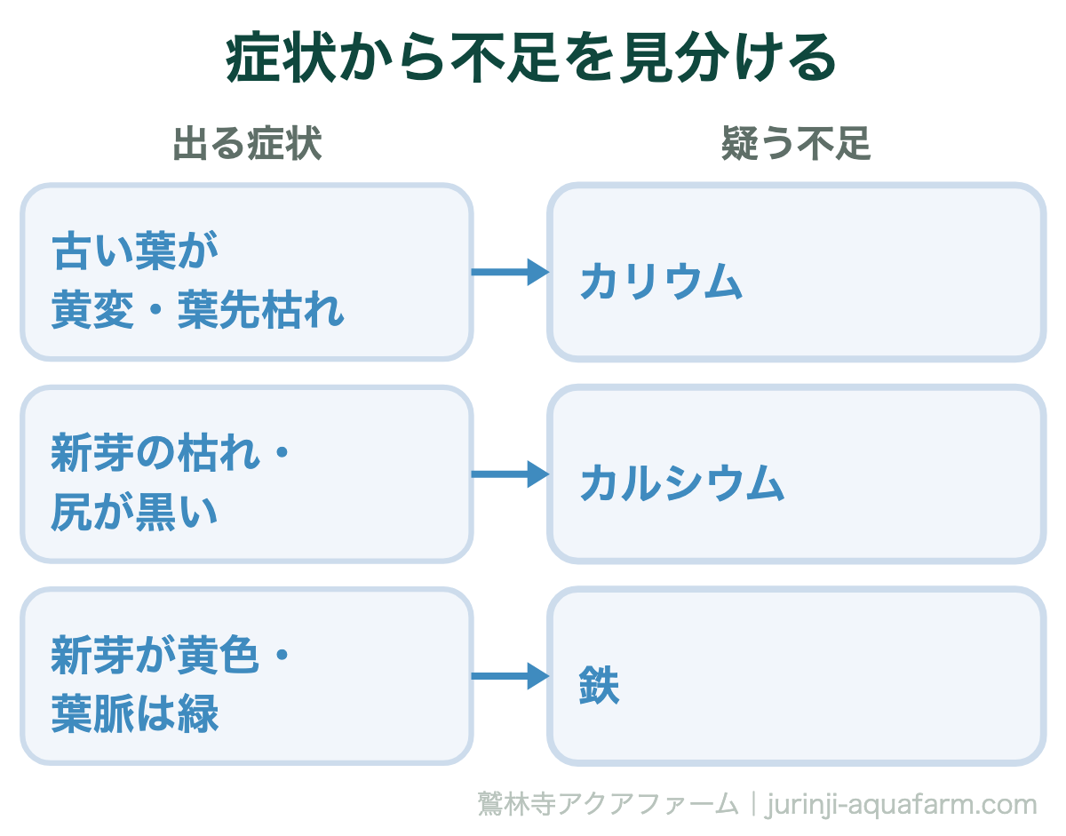 アクアポニックスで足りない栄養は3つ|症状から不足を見分ける。どこから症状が出るかで見分けられます。古い葉からならカリウム、新しい葉からなら鉄が目安です