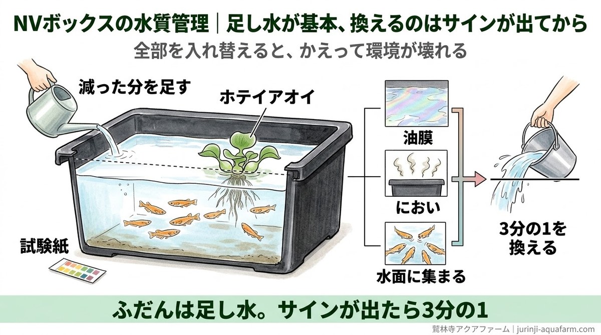NVボックスのメダカの水質管理を示した精密図解。ふだんは減った分を足し水し、ホテイアオイで水を保つ。油膜・におい・メダカが水面に集まるサインが出たら3分の1を換える。試験紙で確かめる