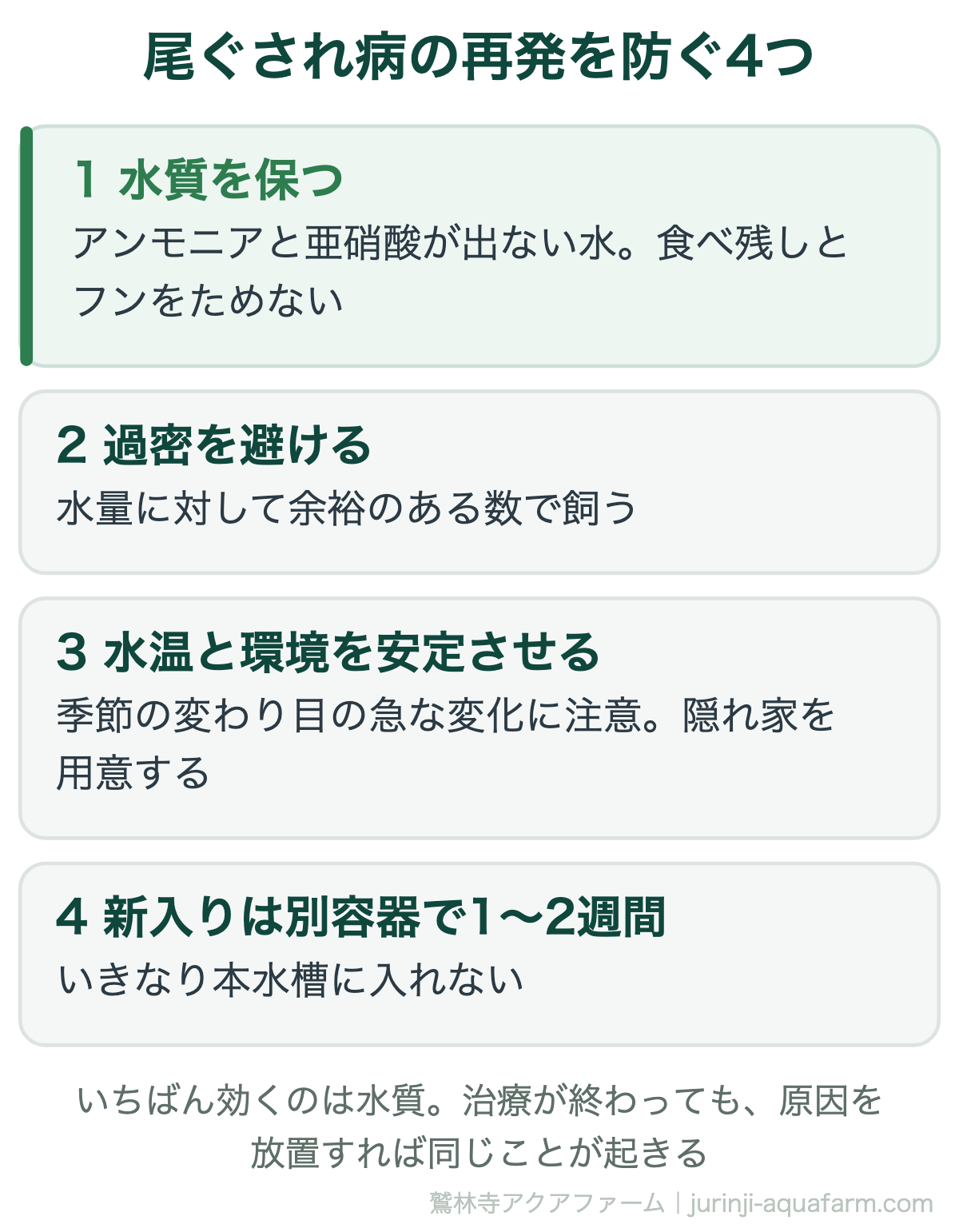 メダカの尾ぐされ病の再発を防ぐ4つの柱。水質を保ちアンモニアと亜硝酸を出さない、過密を避ける、水温と環境を安定させる、新しいメダカは別容器で1〜2週間ようすを見てから合流させる