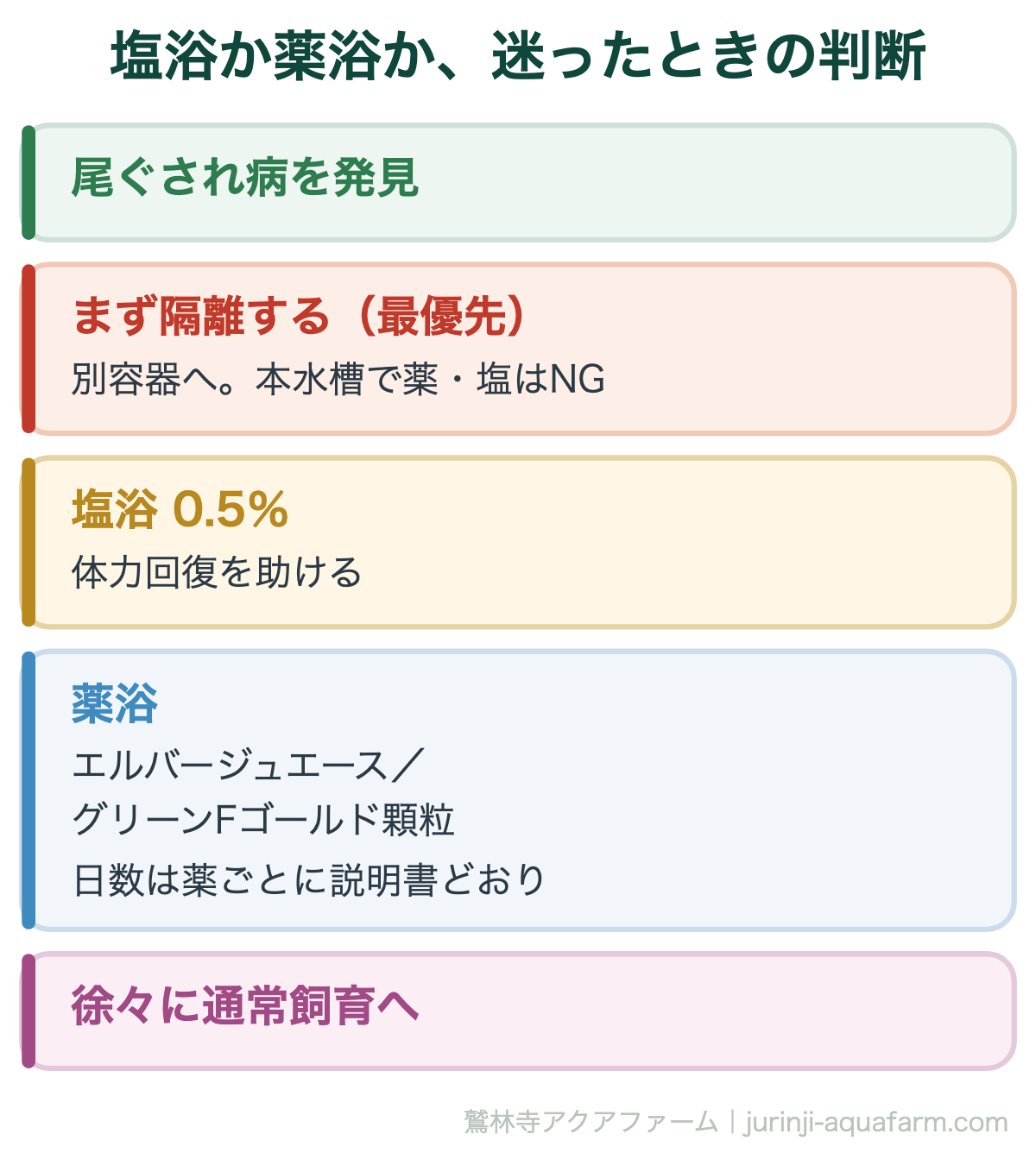 メダカの尾ぐされ病で塩浴か薬浴かを迷ったときの判断。発見したらまず隔離、軽症は塩浴0.5%、進行したらエルバージュエースかグリーンFゴールド顆粒で薬浴（日数は薬ごとに説明書どおり）、徐々に通常飼育へ戻す