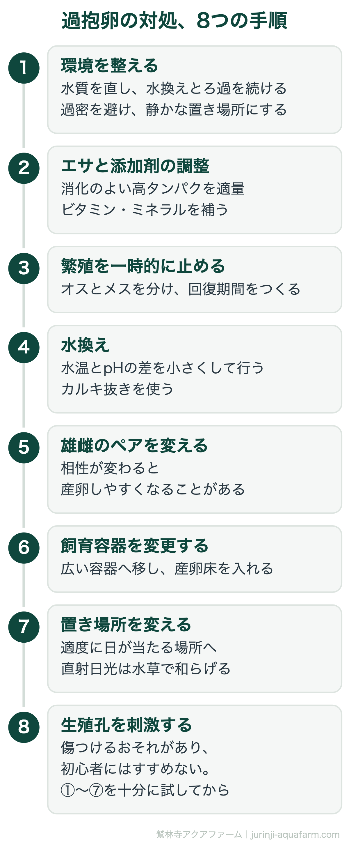 メダカの過抱卵の対処8つの手順。①環境を整える、水換えと過密の解消から始める。腹部を押し出す方法はメダカを傷つけるおそれがあるので、いちばん最後にする