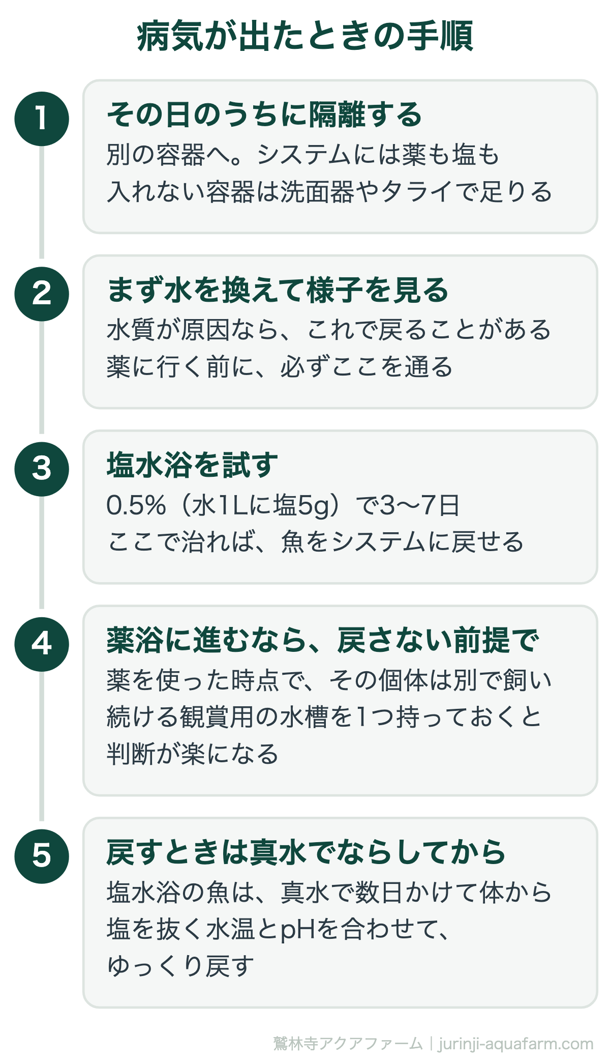 アクアポニックスの魚が病気に｜病気が出たときの手順。薬に進むかどうかが分かれ道。進んだら「戻さない」と決めておくほうが迷わない