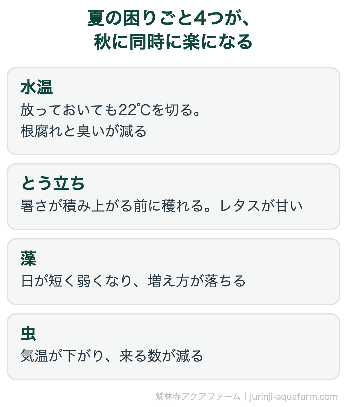 水耕栽培を秋から始めると楽になる4つの図。水温は放っておいても22℃を切り根腐れと臭いが減る。とう立ちは暑さが積み上がる前に穫れてレタスが甘い。藻は日が短く弱くなり増え方が落ちる。虫は気温が下がり来る数が減る