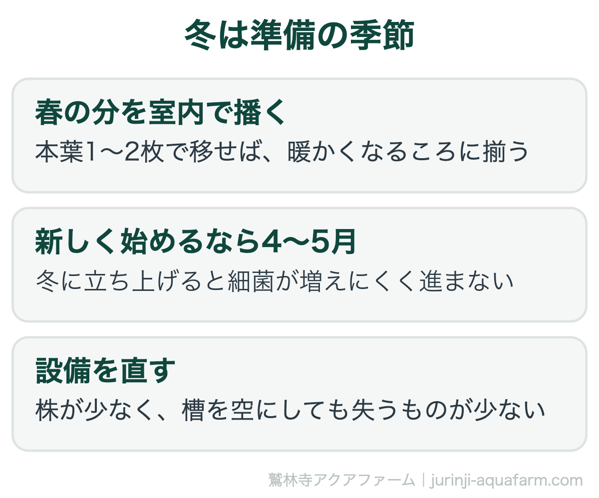 冬のアクアポニックス・水耕栽培は準備の季節。春の分を室内で播いて本葉1〜2枚で移す、新しく始めるなら4〜5月（冬は細菌が増えにくい）、株が少ないうちに設備を直しポンプの分解掃除を済ませる