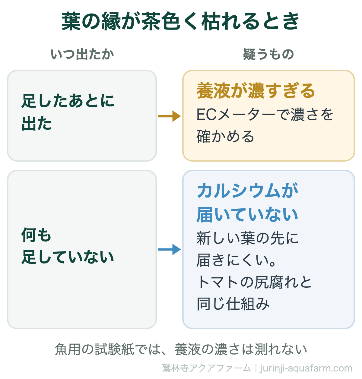 アクアポニックス・水耕栽培で葉の縁が茶色く枯れるとき、足したあとに出たなら養液が濃すぎるのでECメーターで確かめる。何も足していないならカルシウムが新しい葉の先に届いていない。魚用の試験紙では養液の濃さは測れない