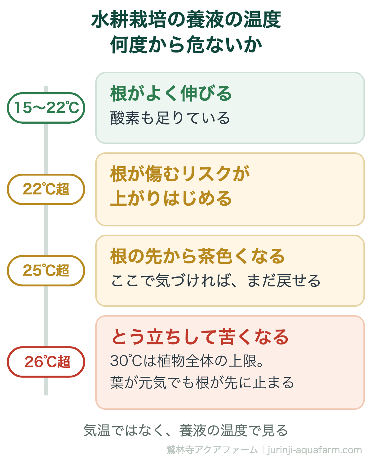 水耕栽培の夏の養液の温度は何度から危ないか。15〜22℃なら根がよく伸び、22℃を超えると根が傷むリスクが上がりはじめ、25℃を超えると根の先から茶色くなり、26℃を超えるととう立ちして苦くなる(30℃は植物全体の上限)。気温ではなく養液の温度で見る