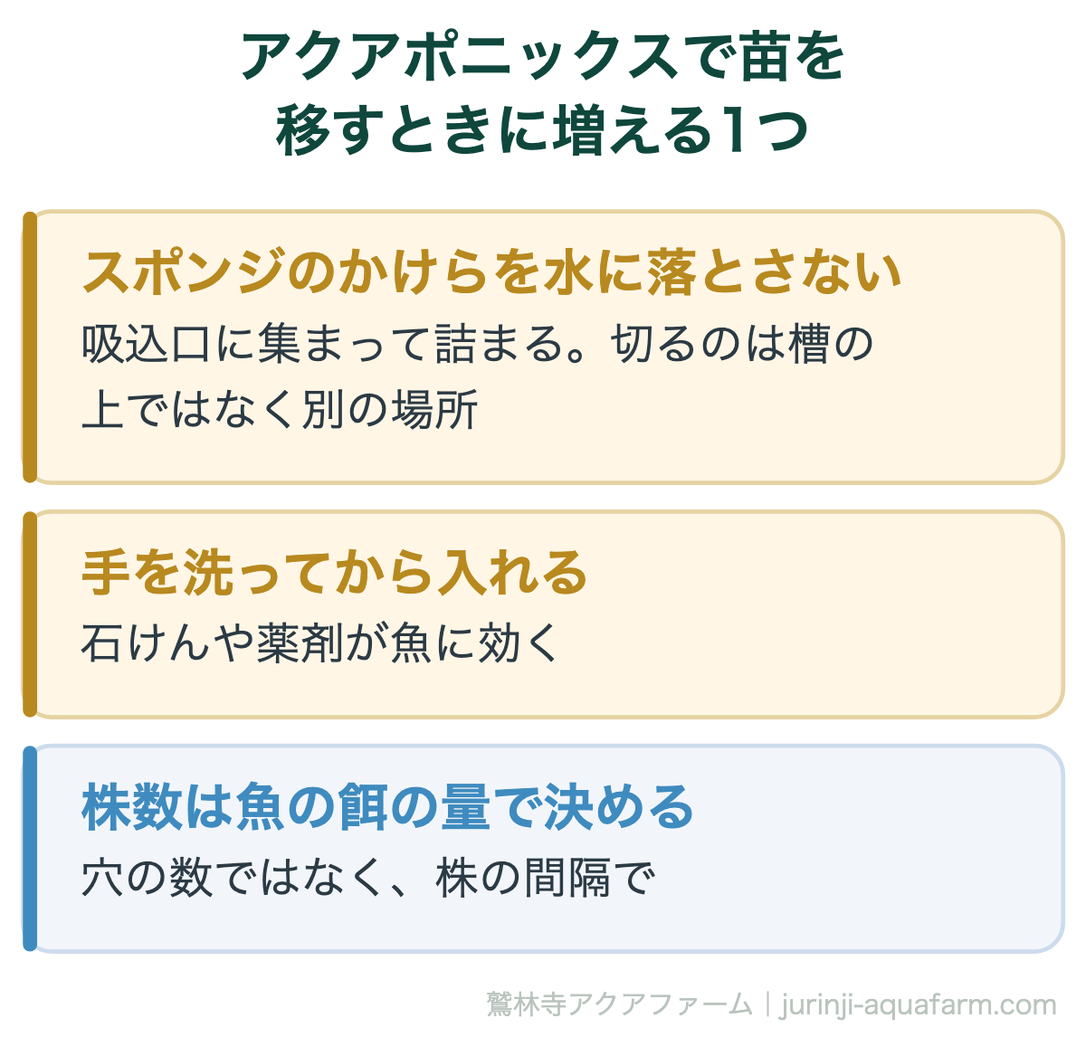 アクアポニックスで苗をスポンジごと移すとき、スポンジのかけらを水に落とさない(吸込口に集まって詰まる)、手を洗ってから入れる(石けんや薬剤が魚に効く)、株数は穴の数ではなく魚の餌の量で決める