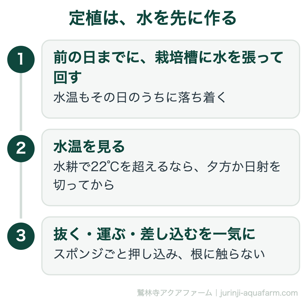 水耕栽培の定植は水を先に作る。前の日までに栽培槽に水を張って回し、水温を見て22℃を超えるなら夕方か日射を切ってから、スポンジを抜く・運ぶ・差し込むを一気にやる