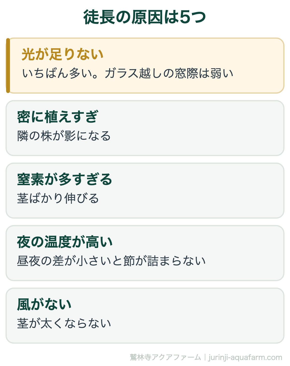 水耕栽培の徒長の原因5つ。いちばん多いのは光不足で、ほかに密植、窒素過多、夜の温度、風がない