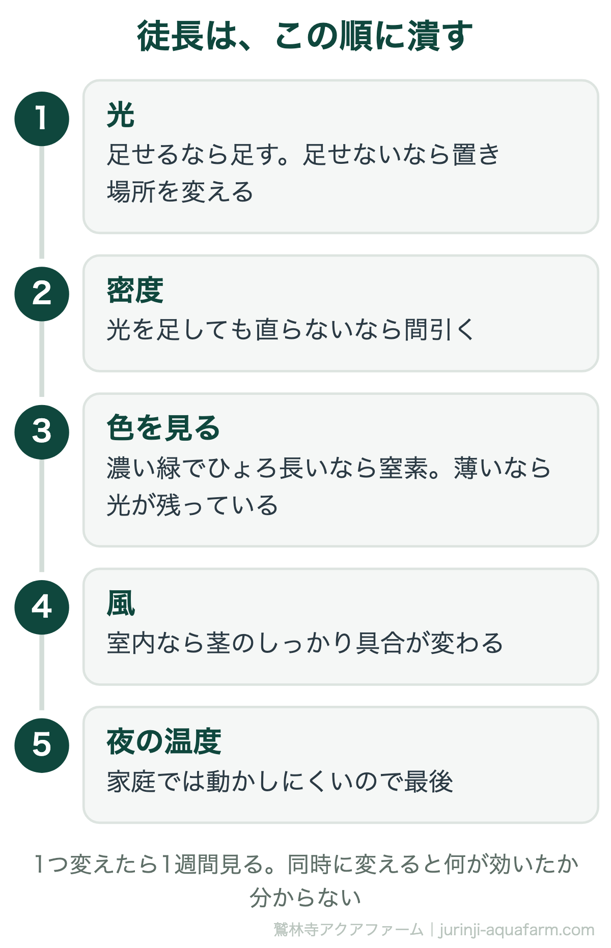 アクアポニックス・水耕栽培の徒長を潰す順番。光、密度（間引く）、葉の色（濃い緑なら窒素、薄いなら光）、風、夜の温度。1つ変えたら1週間見る