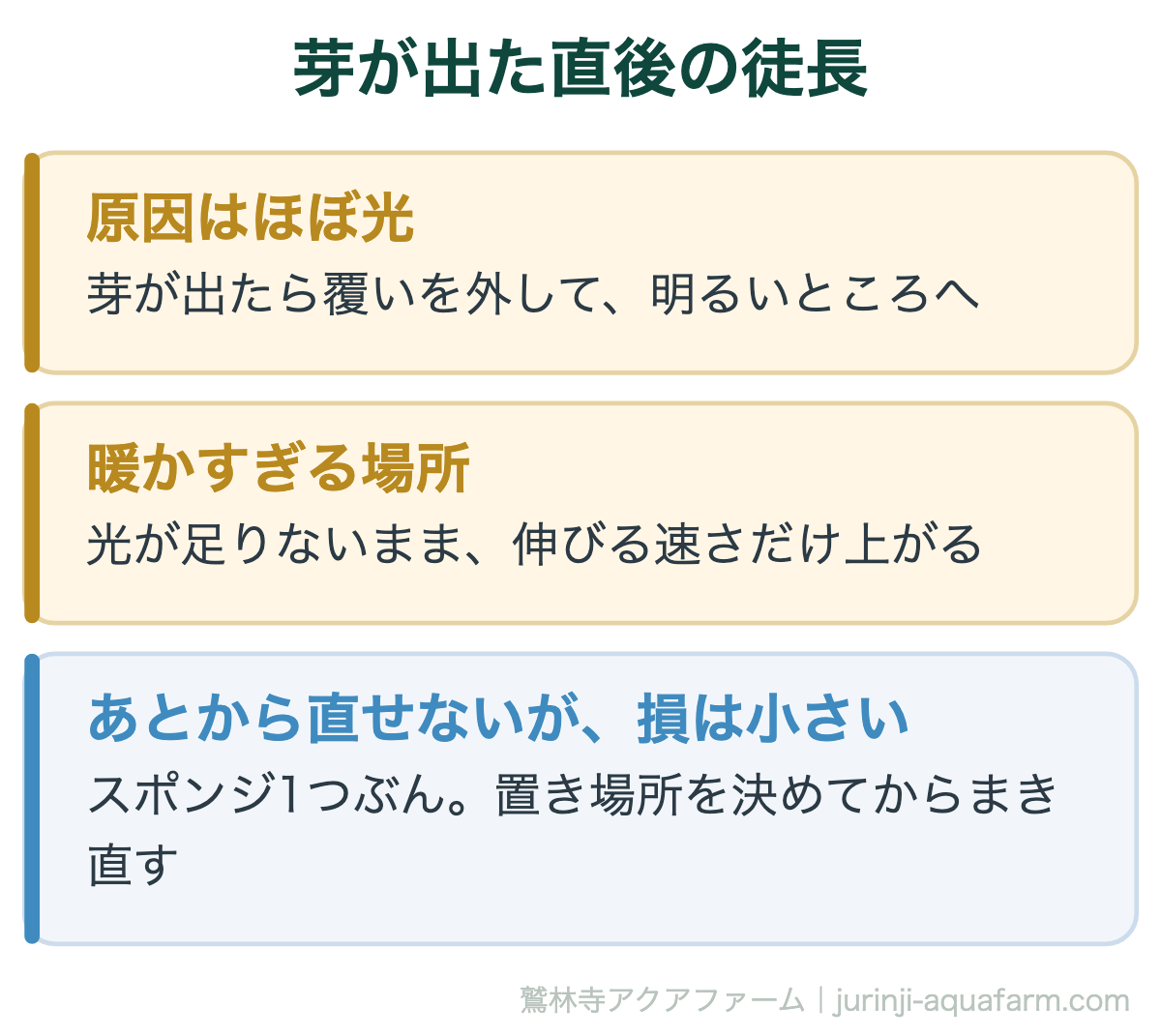 水耕栽培で芽が出た直後に徒長する原因はほぼ光で、芽が出たら覆いを外して明るいところへ。暖かすぎる場所では光が足りないまま伸びる速さだけ上がる。この段階の徒長は直せないが損はスポンジ1つぶんで、置き場所を決めてからまき直す