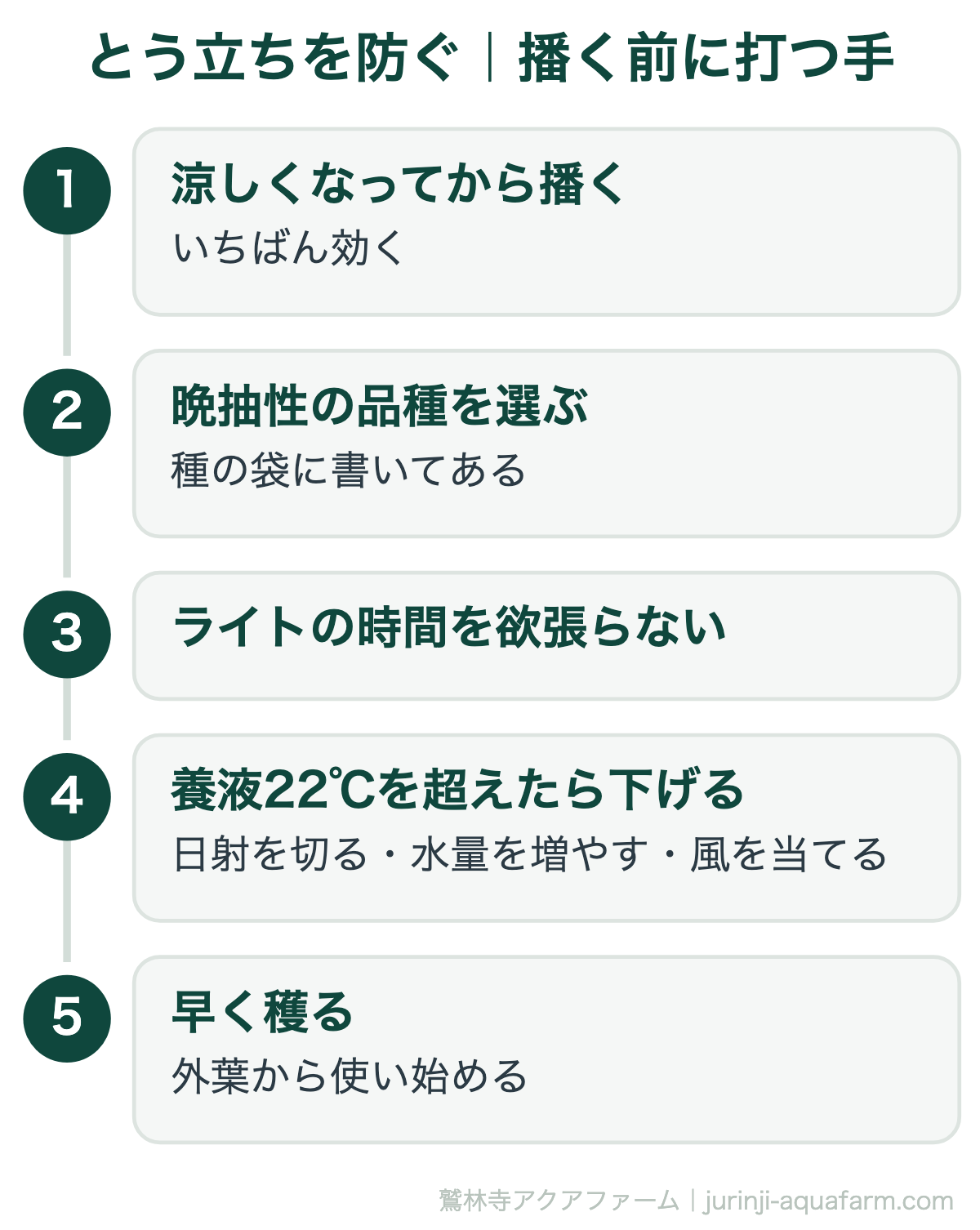 水耕栽培のとう立ちを防ぐには播く前に手を打つ。涼しくなってから播く、晩抽性の品種を選ぶ、ライトの時間を欲張らない、養液が22℃を超えたら日射を切り水量を増やし風を当てる、外葉から早く穫る