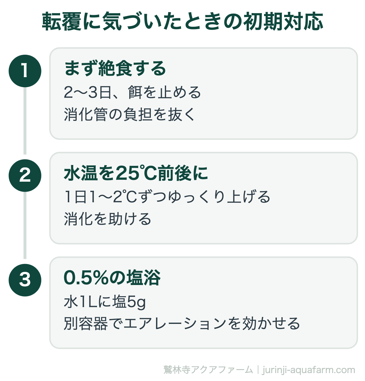 金魚の転覆病は治る｜転覆に気づいたときの初期対応。初期対応で最も効くのは絶食です。薬より先に、まず消化管を空にして水温を上げます。急な加温は逆効果なので必ず段階的に